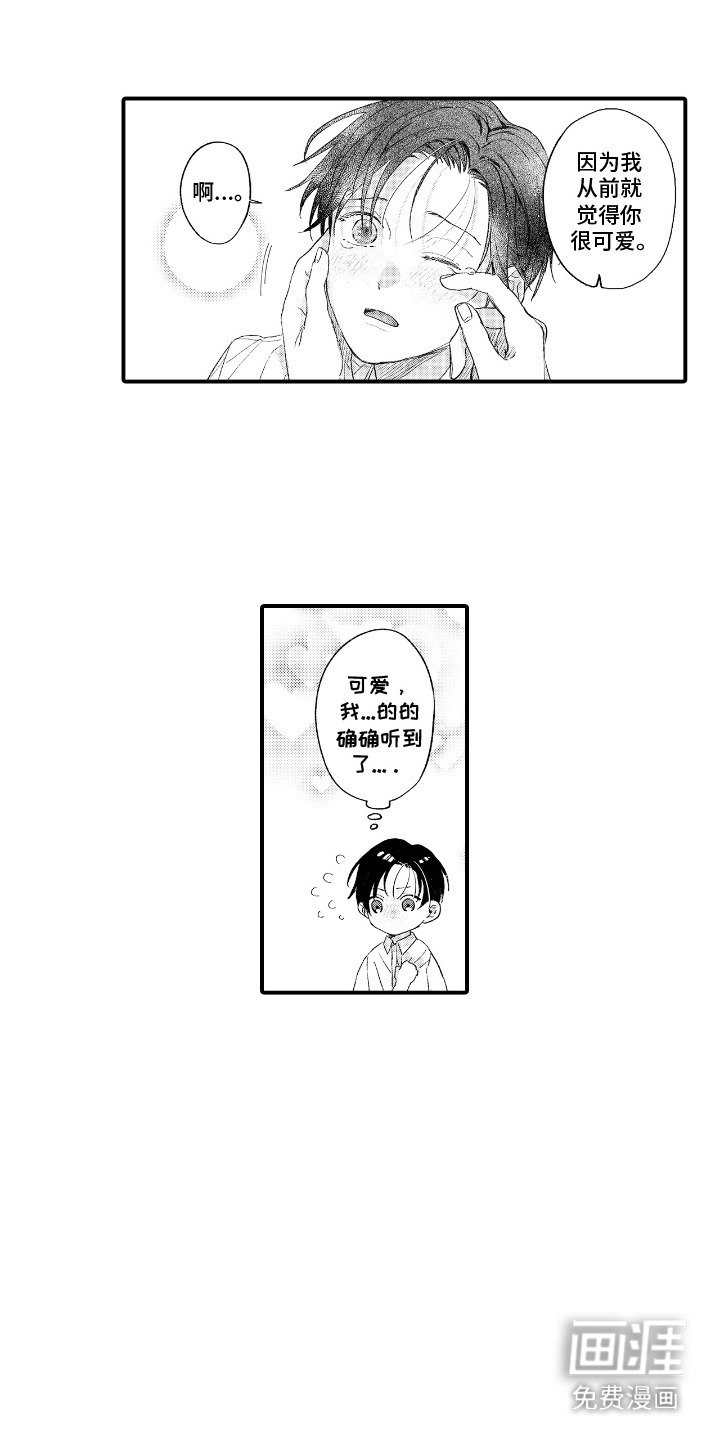 第17章：表白
