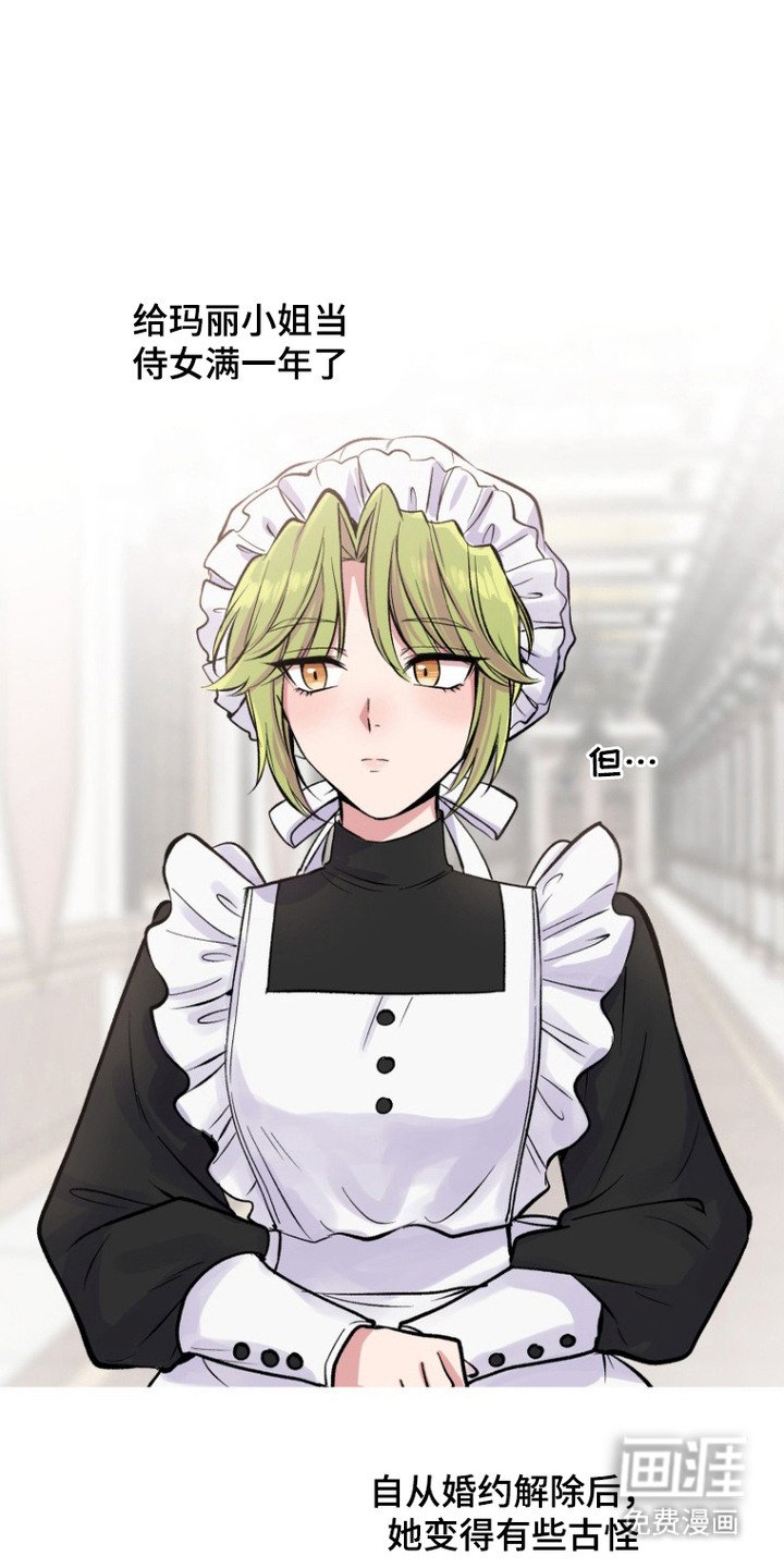 第8章：侍女