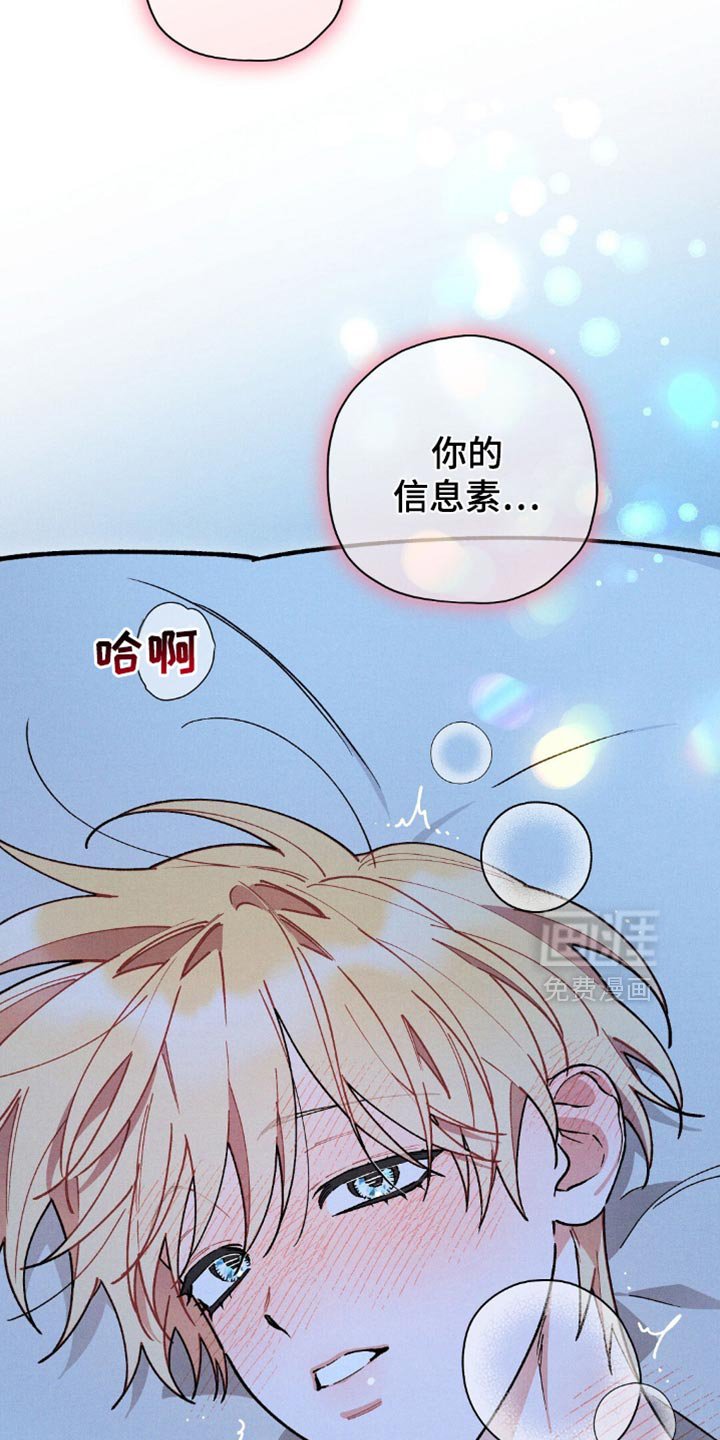 第119章：【第二季】聪明的搭档