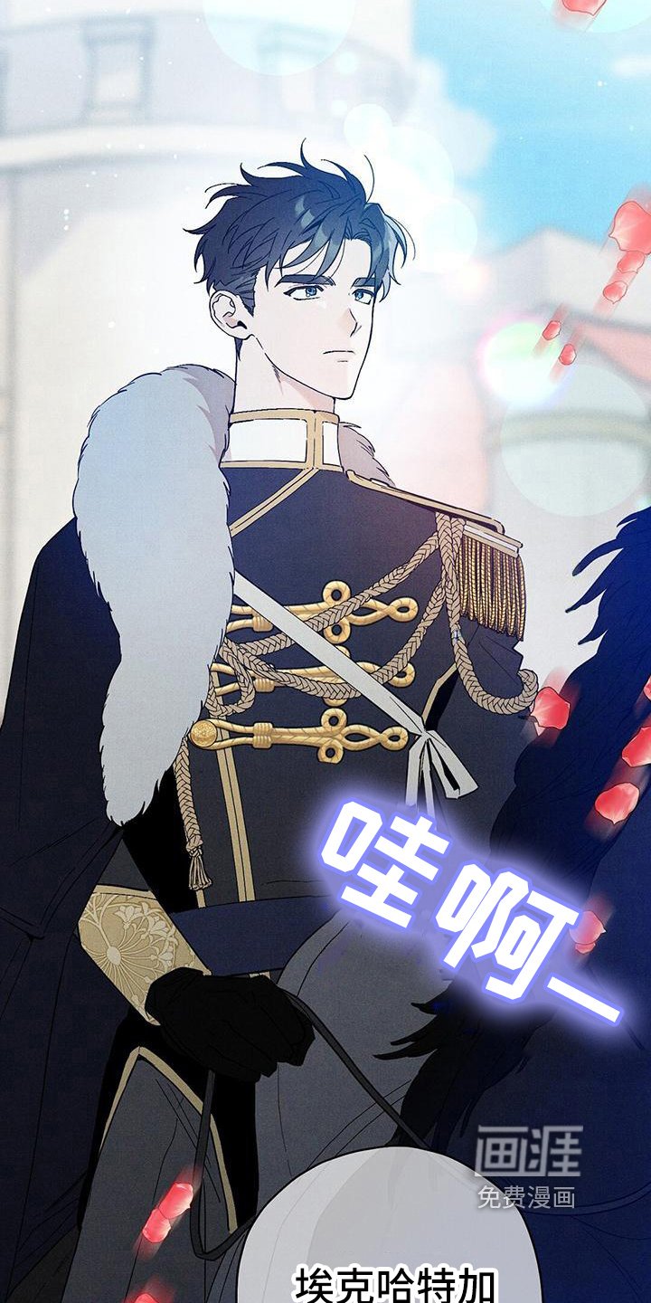 第12章：问好