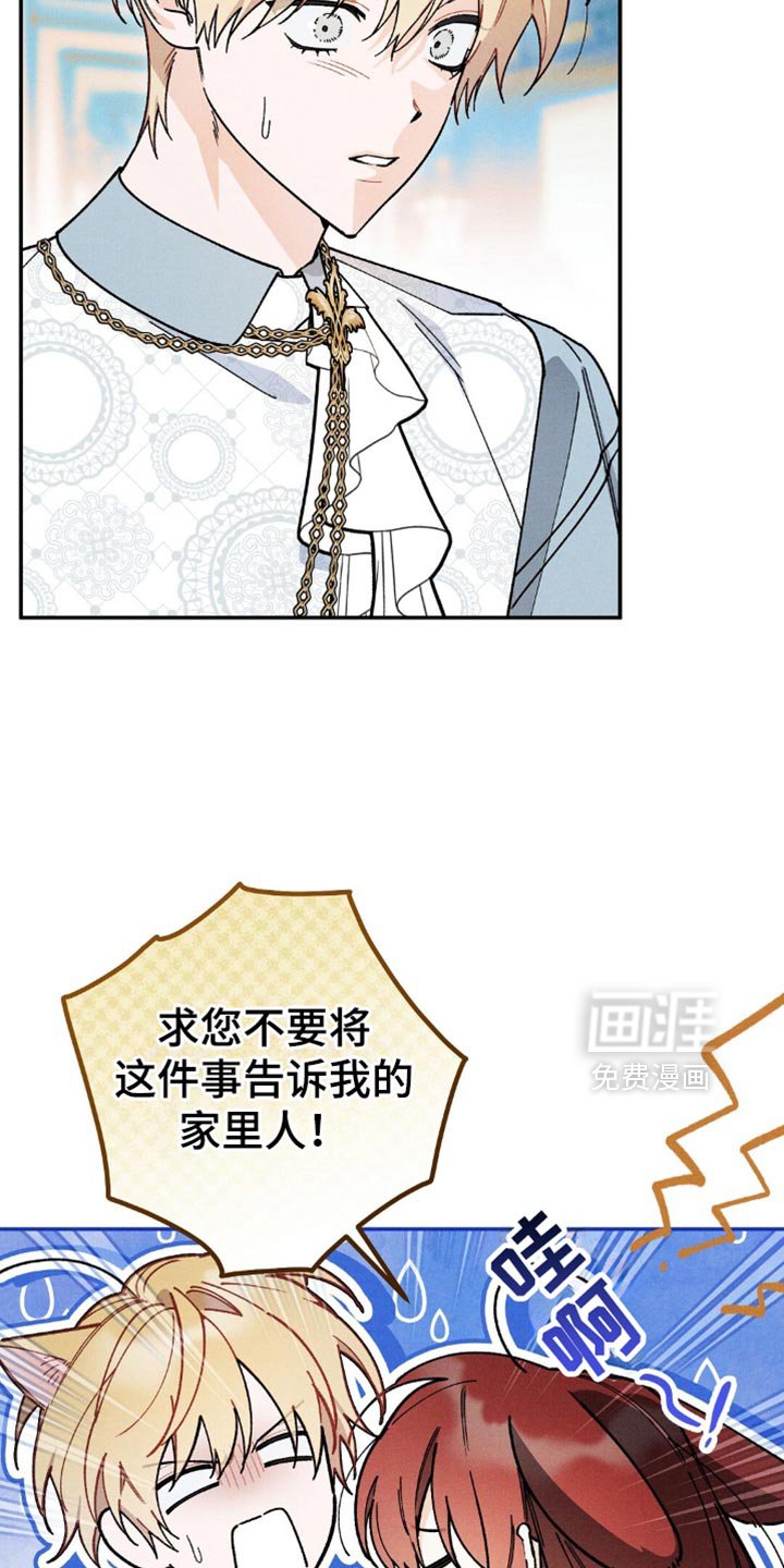 第140章：【第三季】你误会了