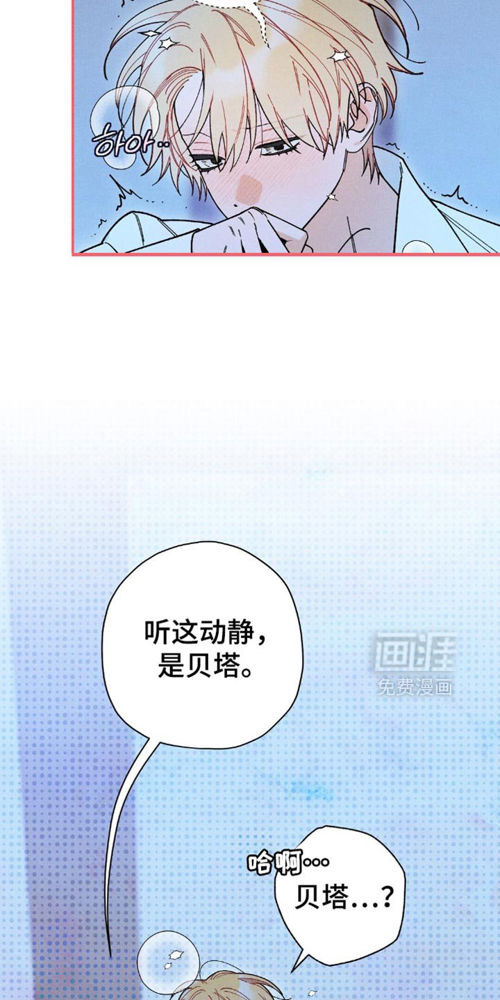 第147章：【第二季】只有一次啊