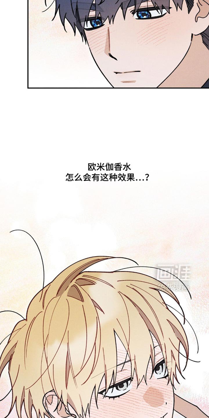 第153章：【第二季】喜欢的味道
