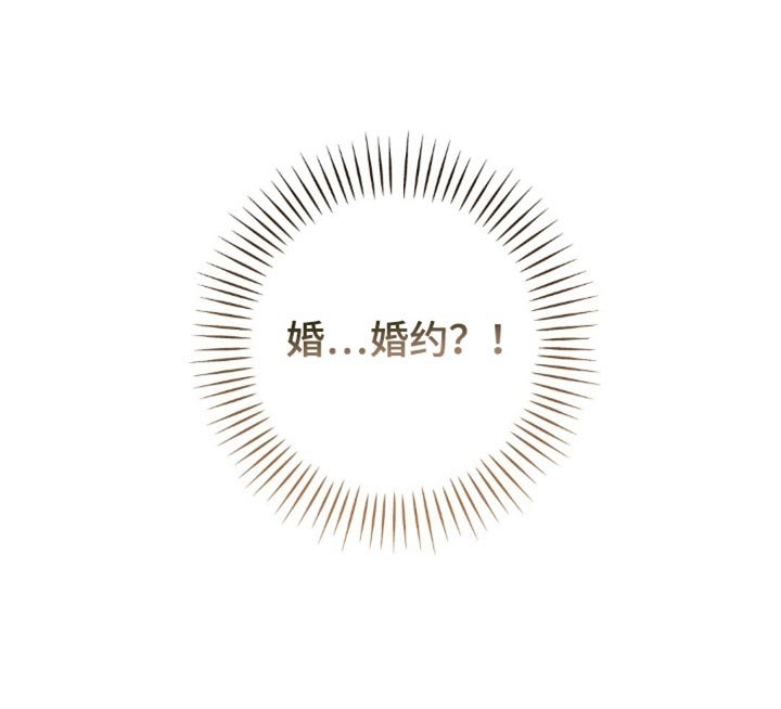 第169章：【第二季】宣布殿下的婚约