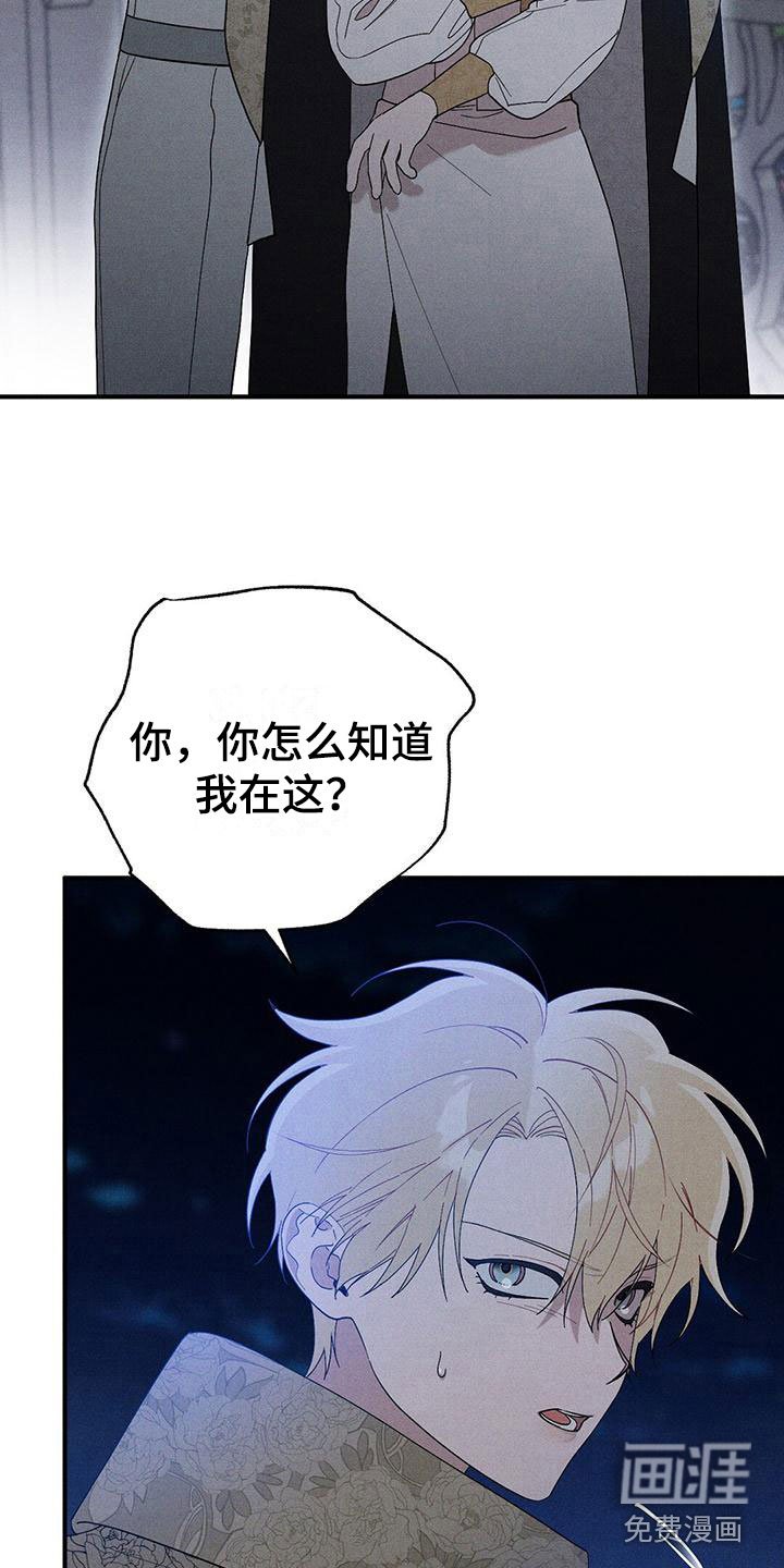 第17章：想见你