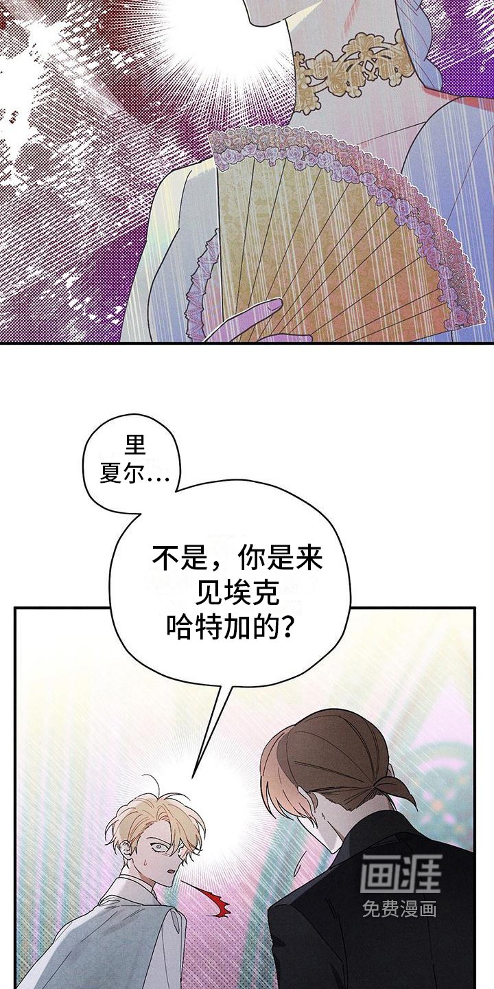 第19章：拉拢