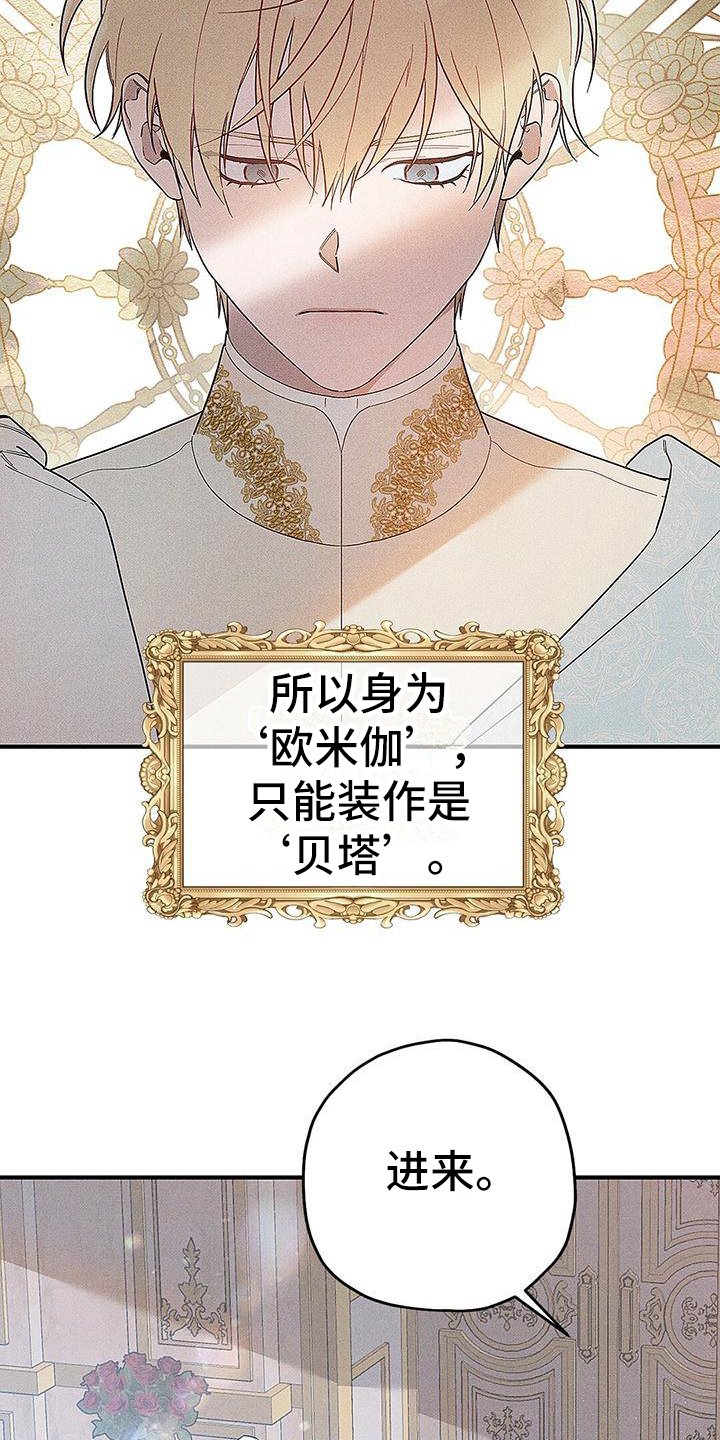 第2章：欧米伽王子