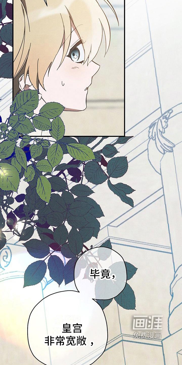 第22章：初识