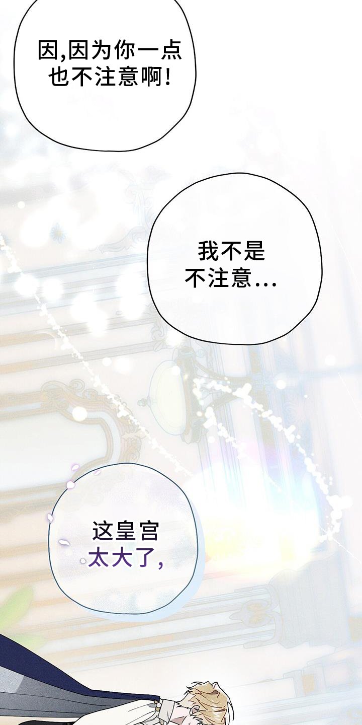 第28章：引人注目