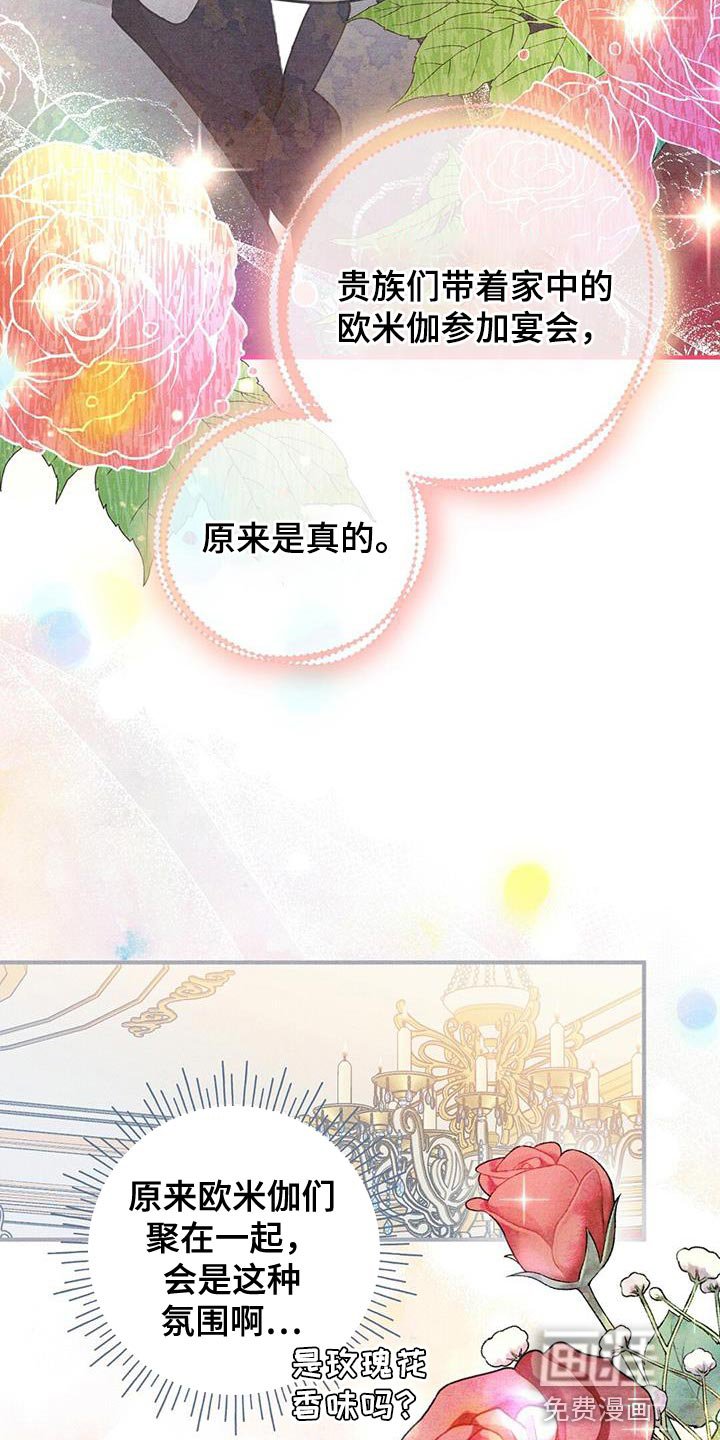 第29章：介绍的人