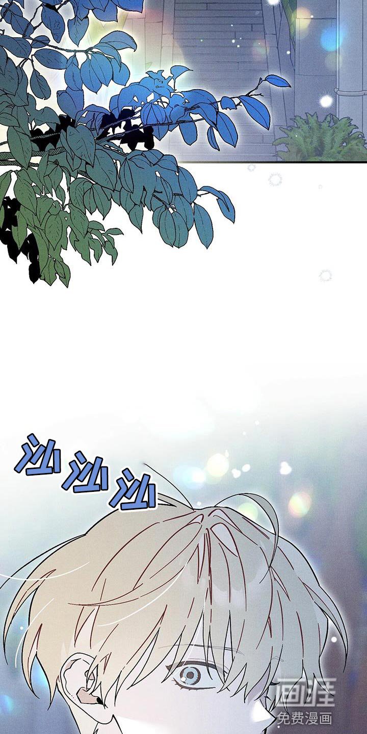 第36章：秘密通道