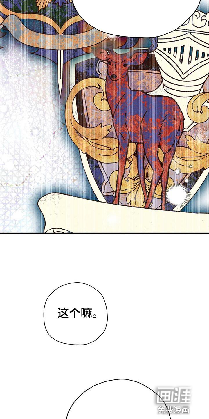 第40章：好奇的事情