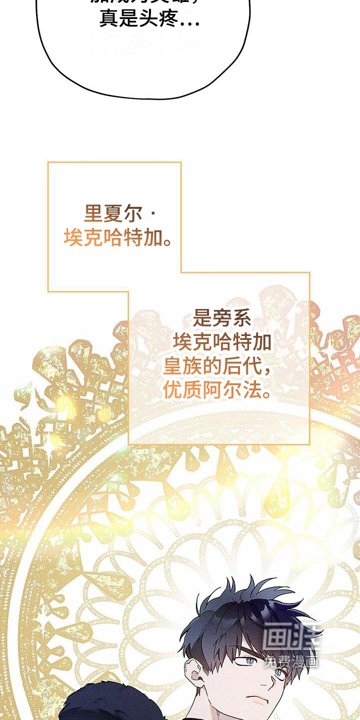 第6章：竞争