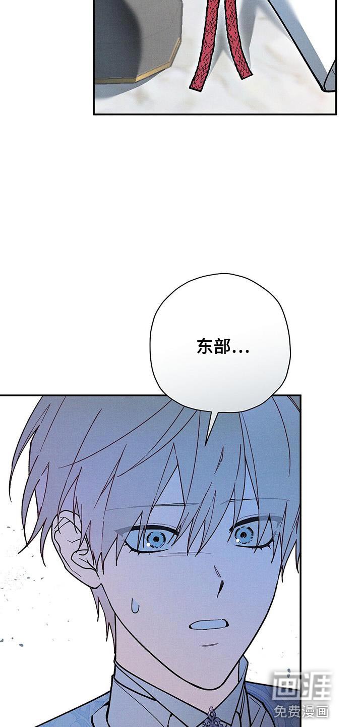 第60章：真相