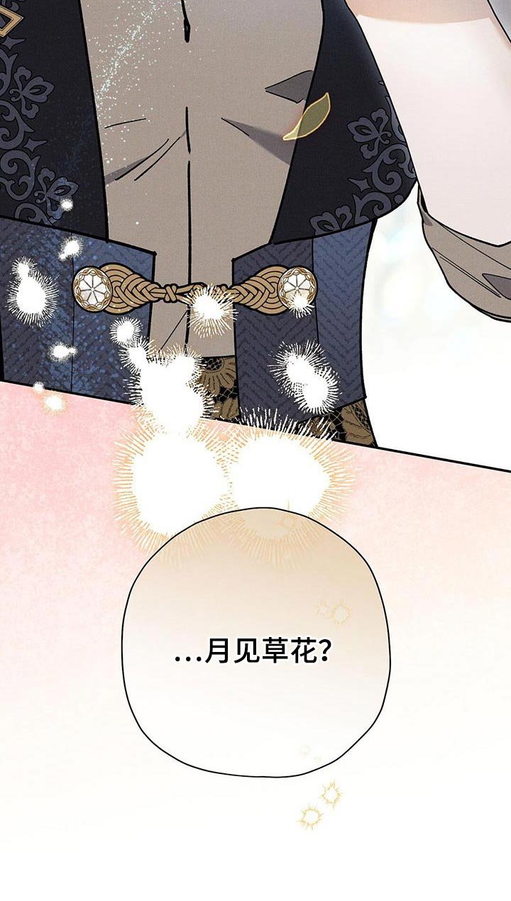 第71章：月见草花