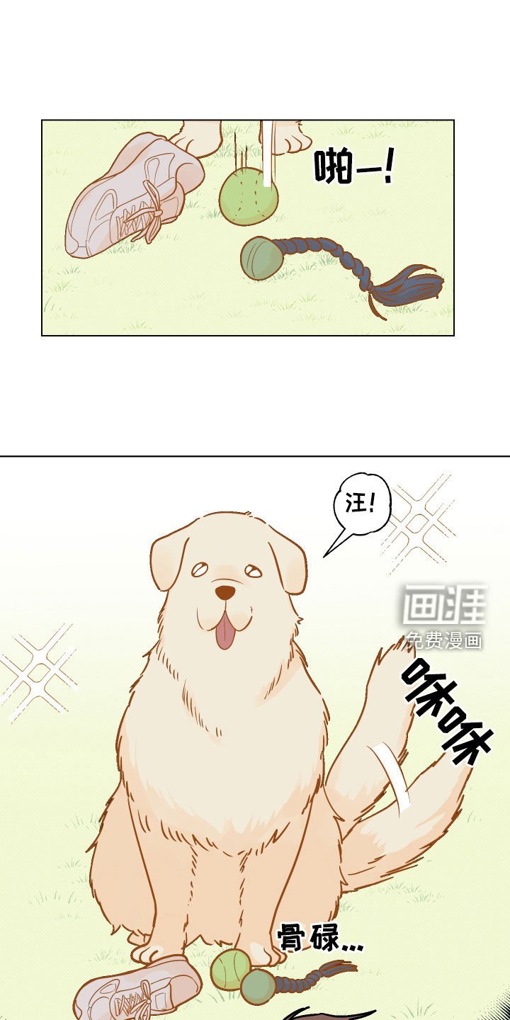 第11章：崎岖