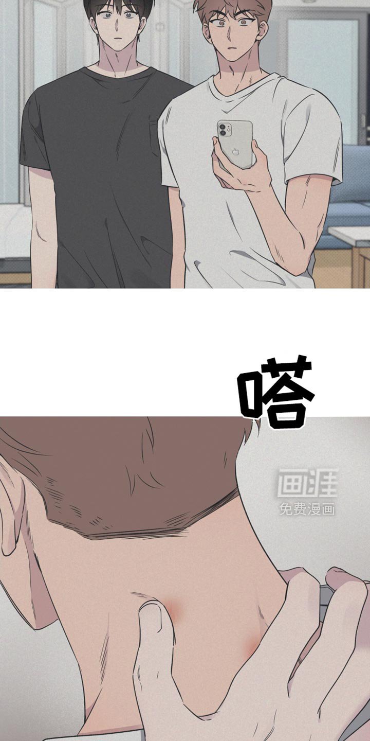 第51章：【第二季】新家具