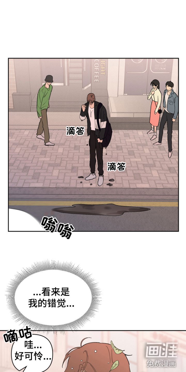 第6章：错觉