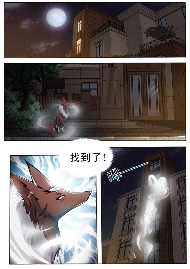 第29章：