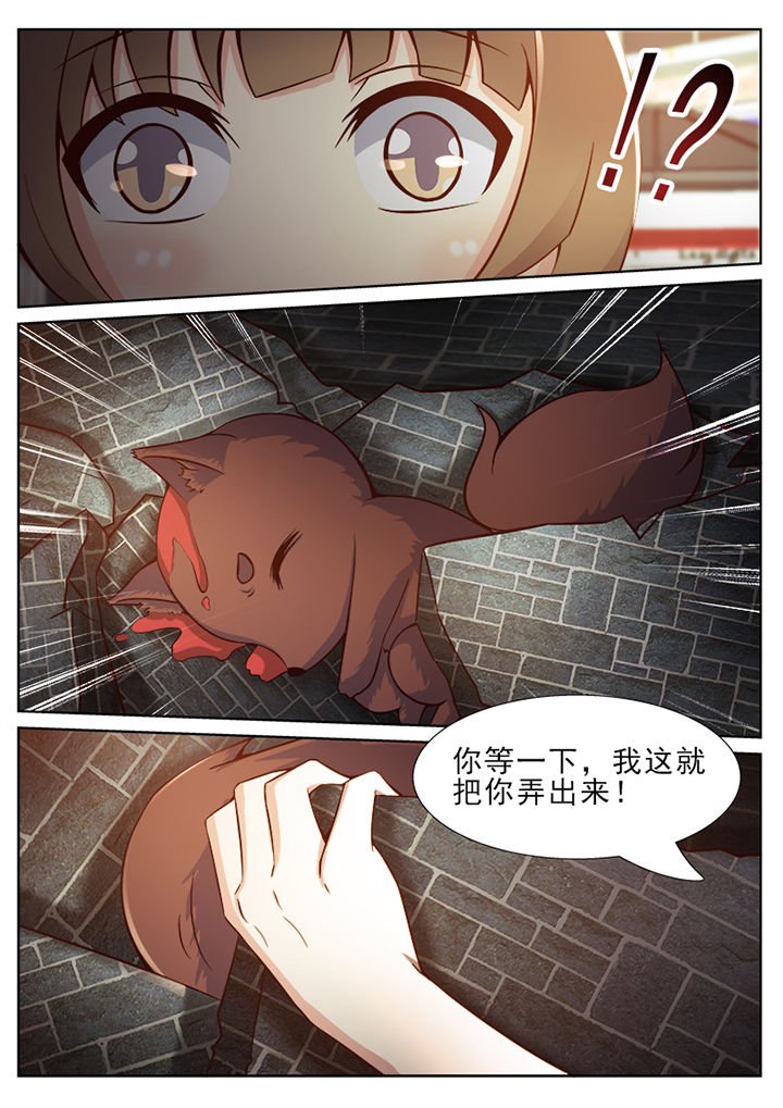 第41章：