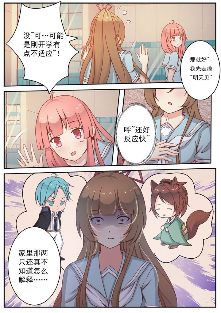 第5章：