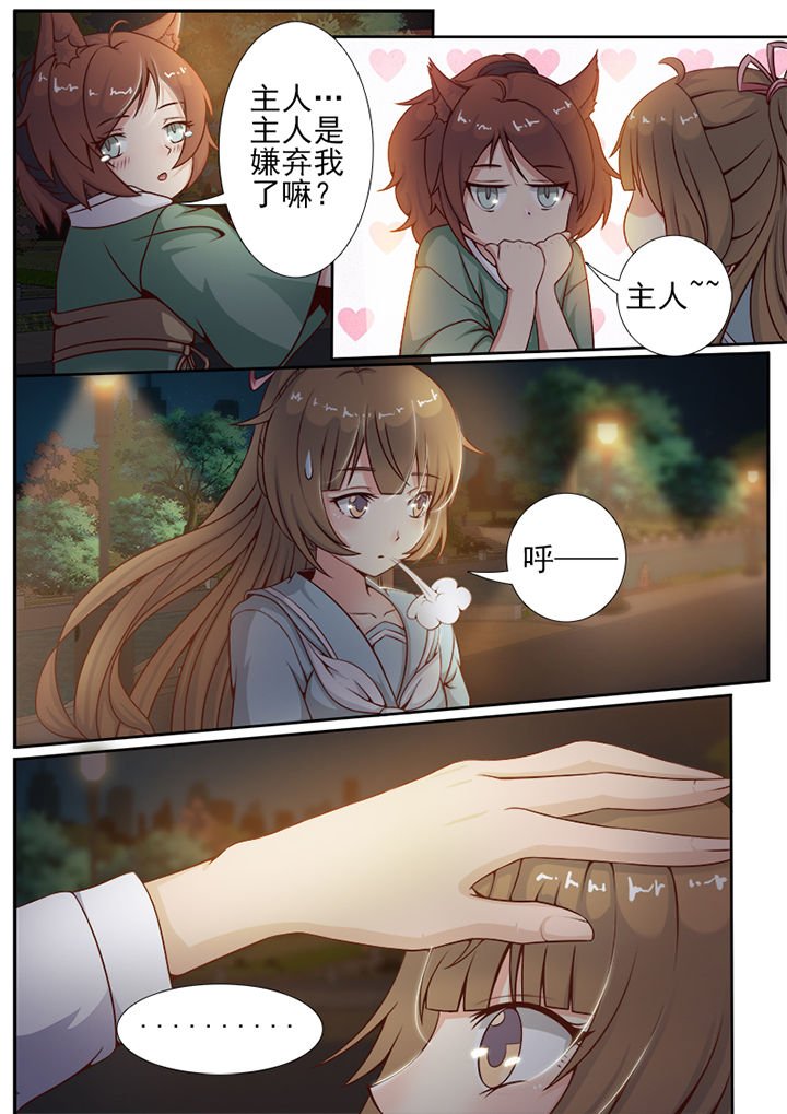 第6章：