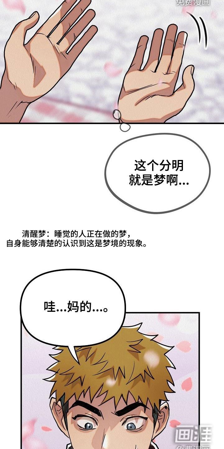 第15章：都是梦境