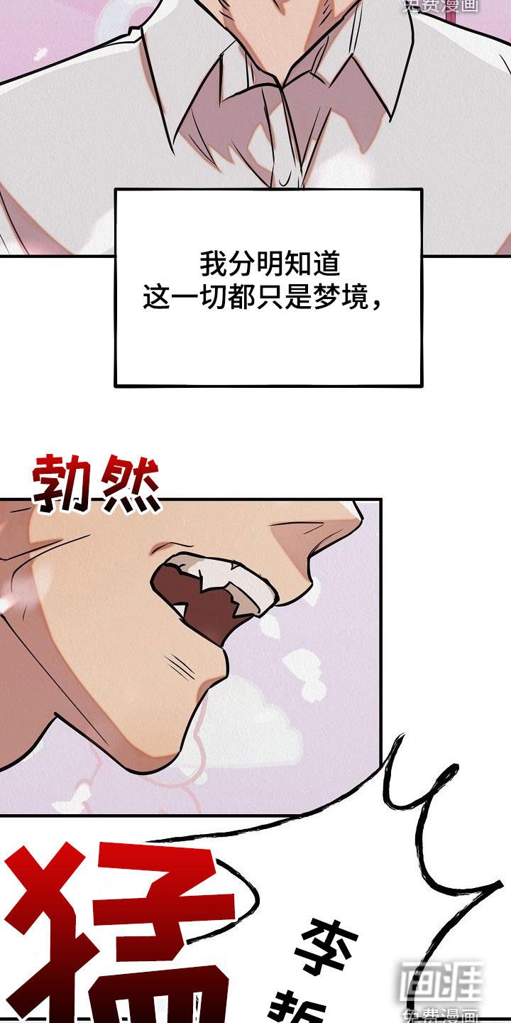 第15章：都是梦境