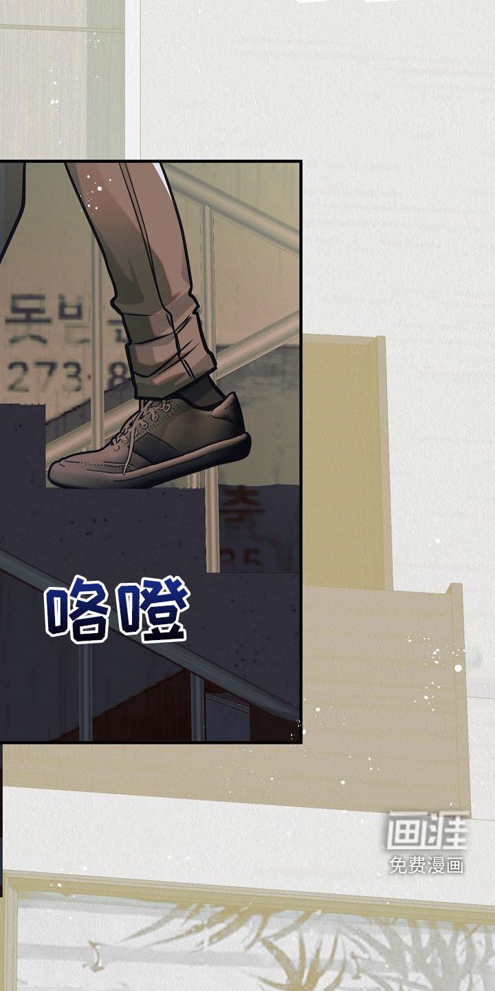 第17章：他回来了（完结）