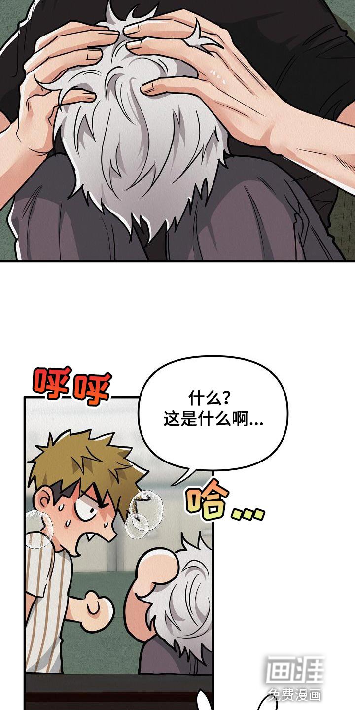第19章：【第二季】请您为我保密