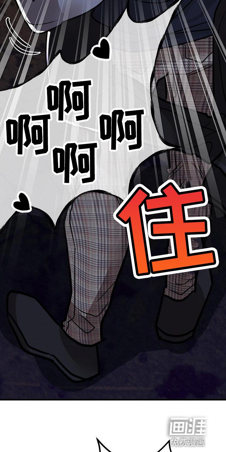 第36章：【第二季】太喜欢了