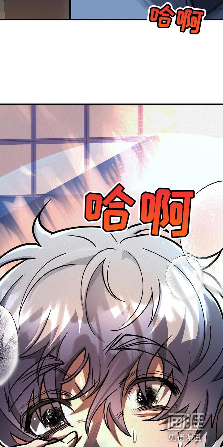 第40章：【第二季】回应我心意的人