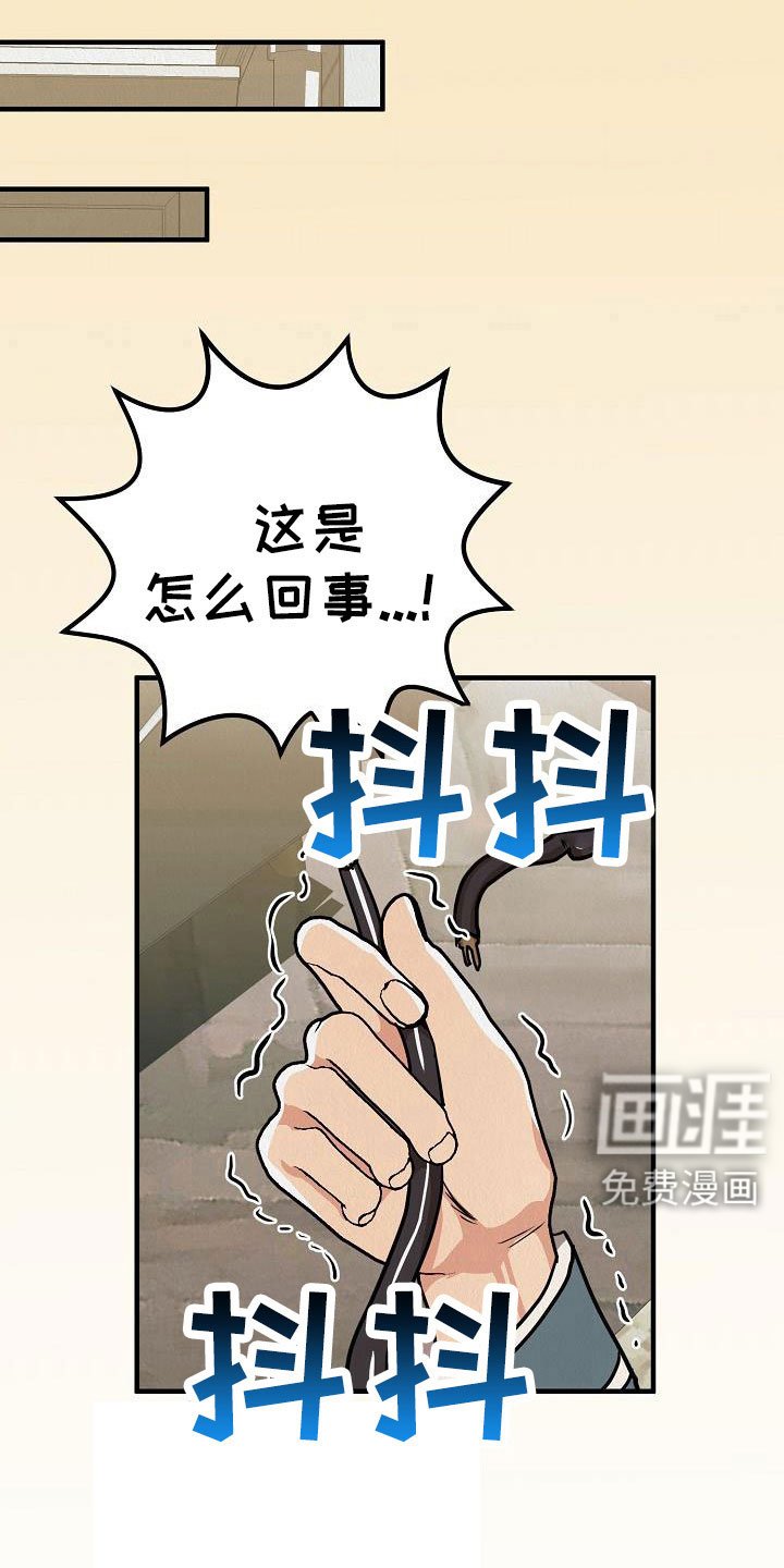第51章：【第二季】太漂亮了