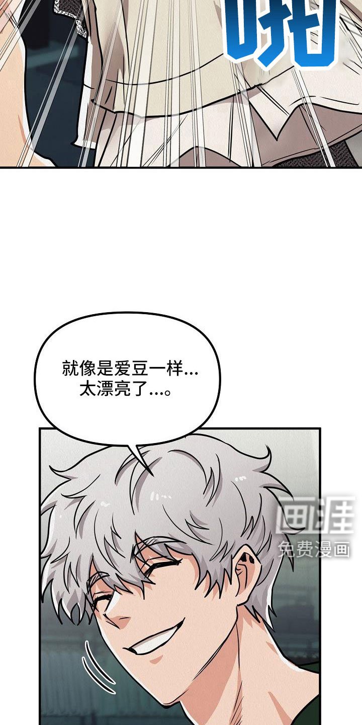 第51章：【第二季】太漂亮了