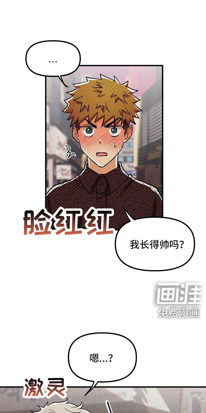 第51章：【第二季】太漂亮了