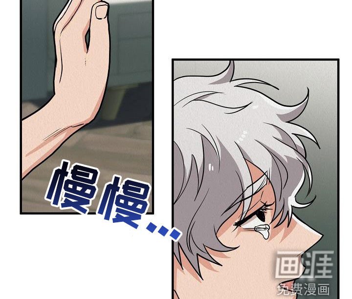 第57章：【番外】愤怒的海鸥