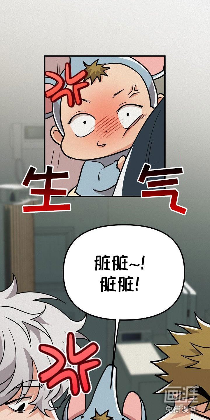 第57章：【番外】愤怒的海鸥