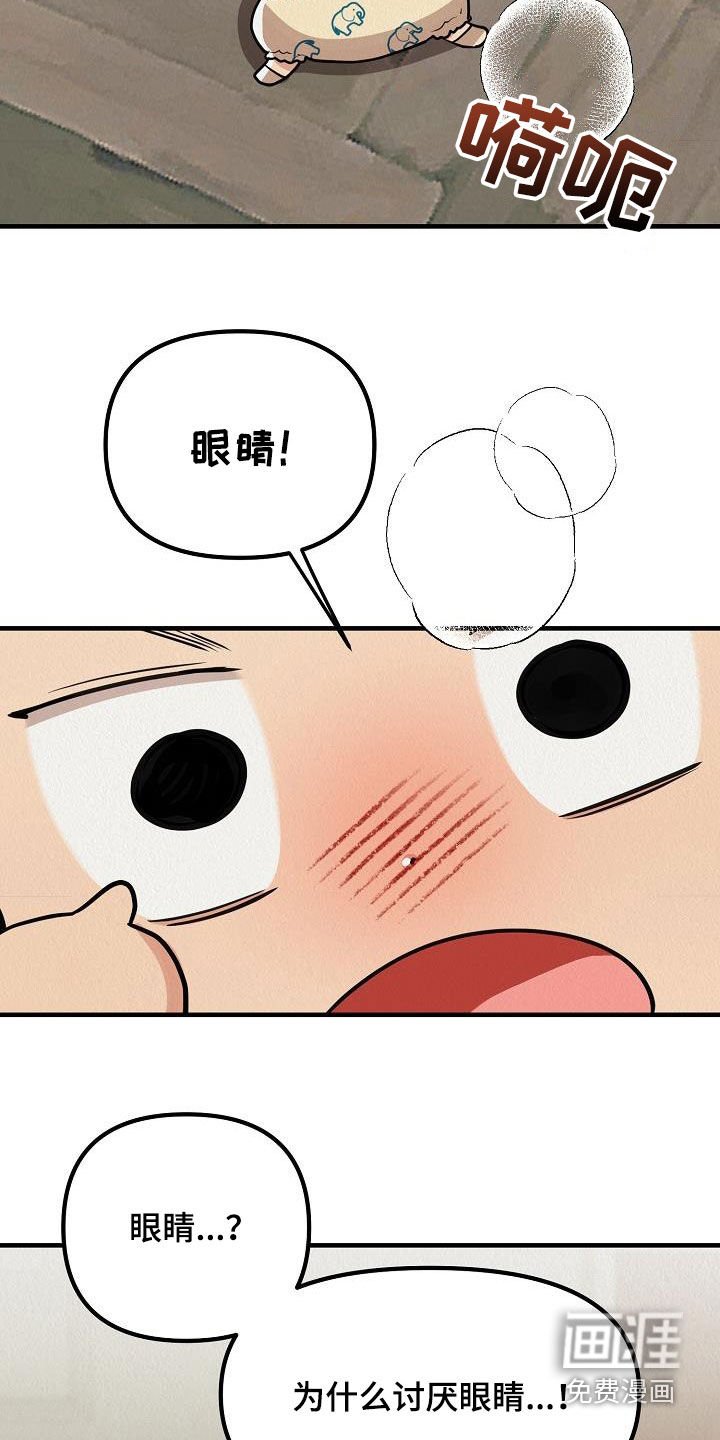 第57章：【番外】愤怒的海鸥