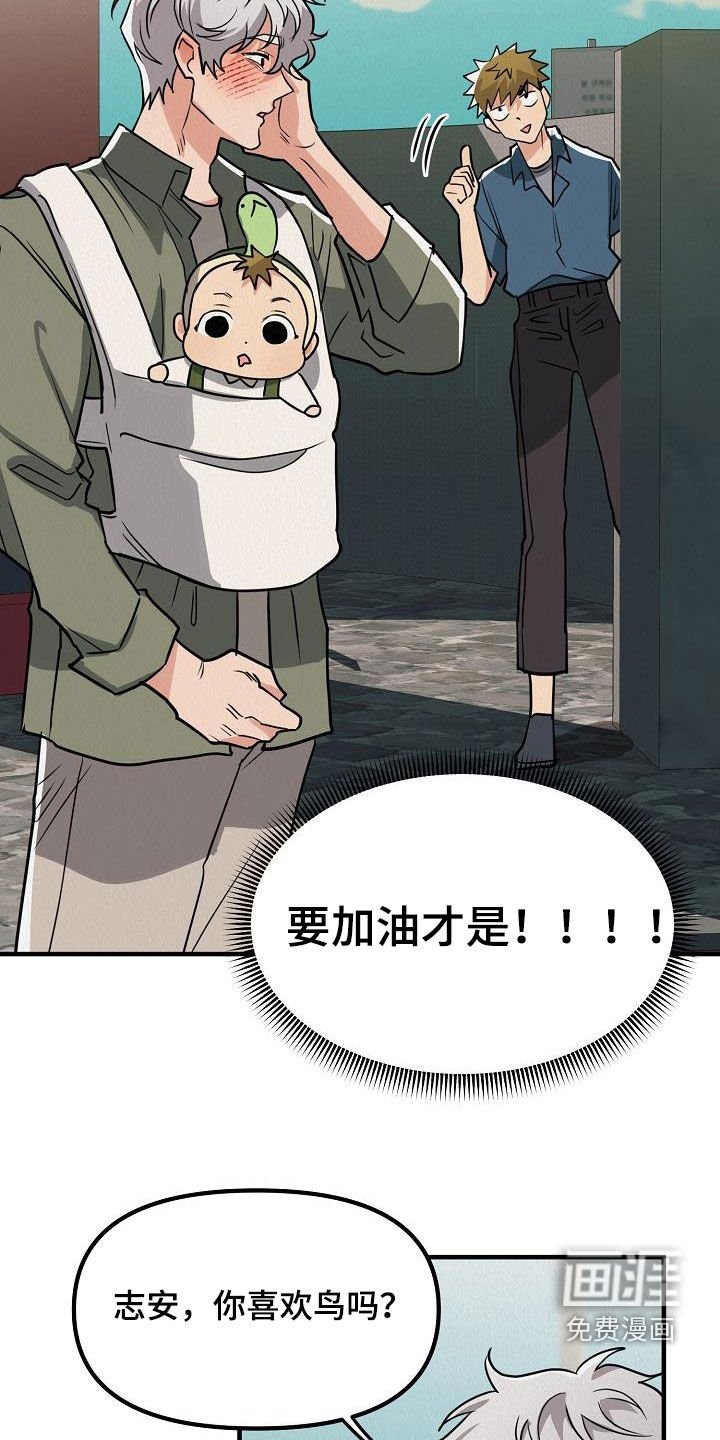 第57章：【番外】愤怒的海鸥