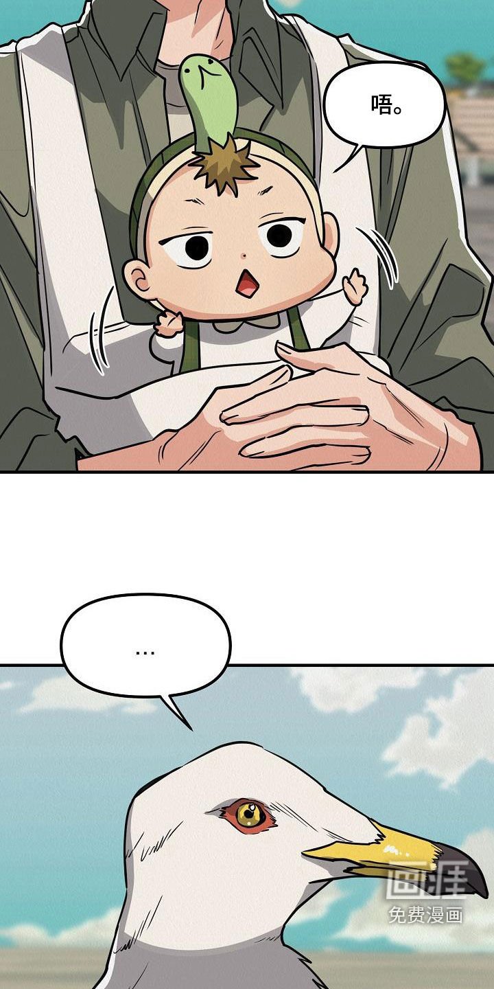第57章：【番外】愤怒的海鸥