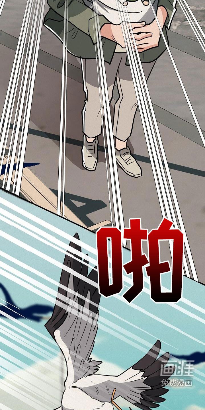 第57章：【番外】愤怒的海鸥