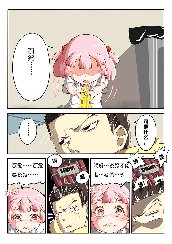 第11章：