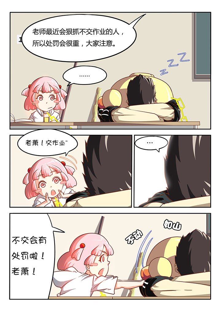 第13章：