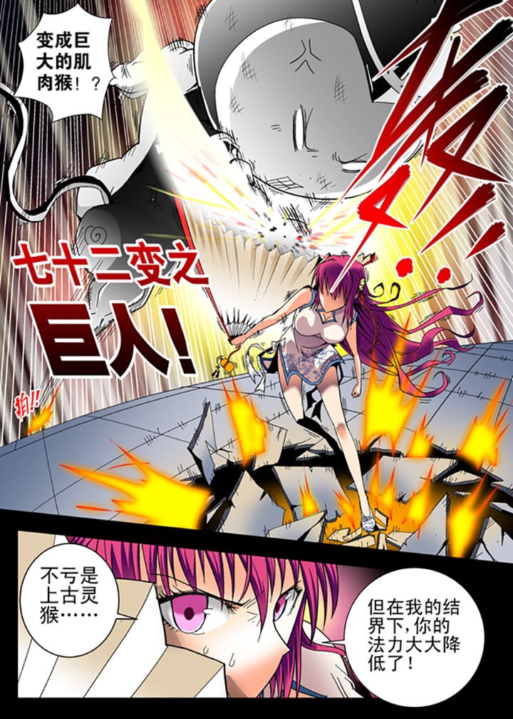 第4章：