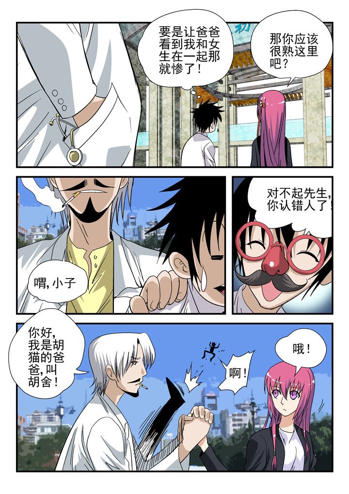 第41章：
