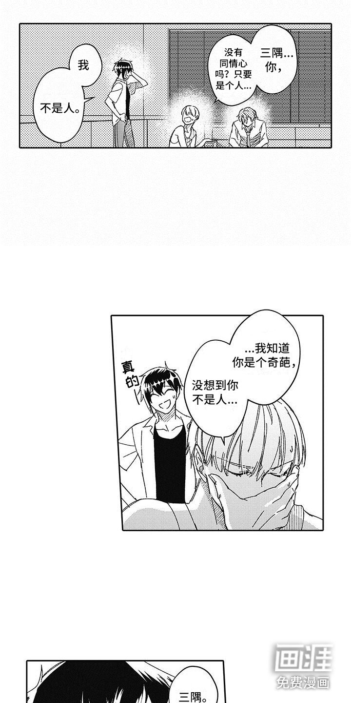 第19章： 一直回避