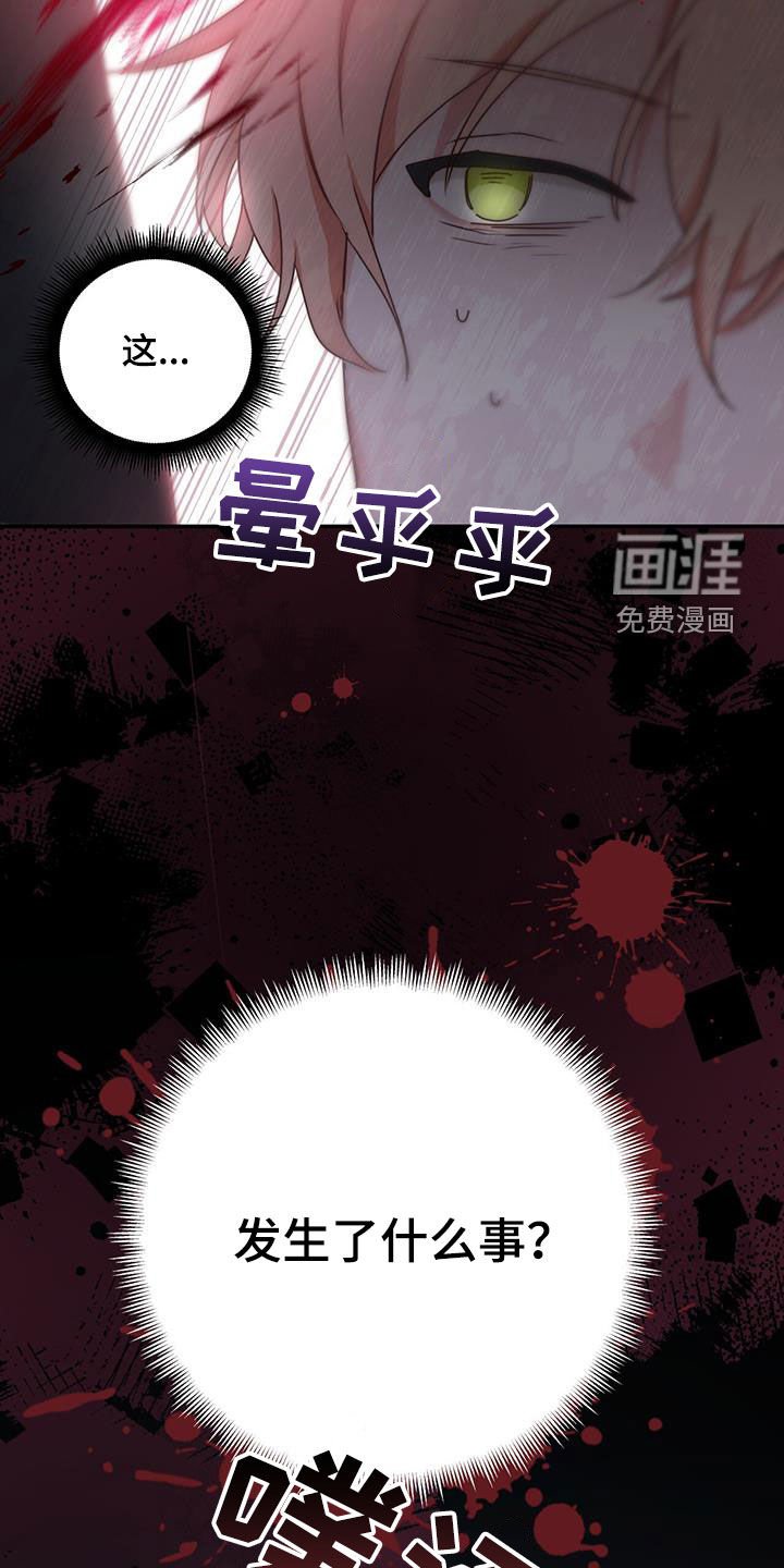 第27章：回应