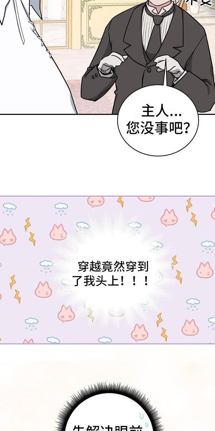 第3章：假装失忆