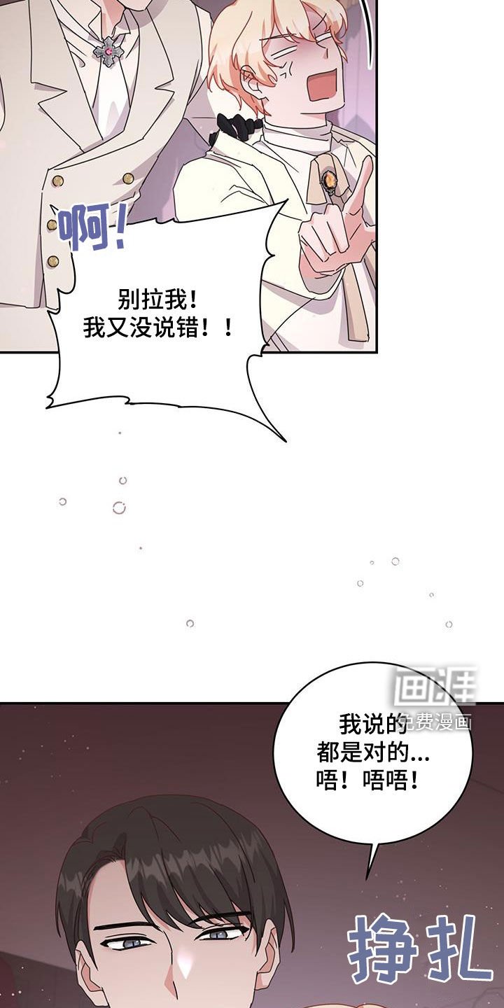 第33章：幕后黑手