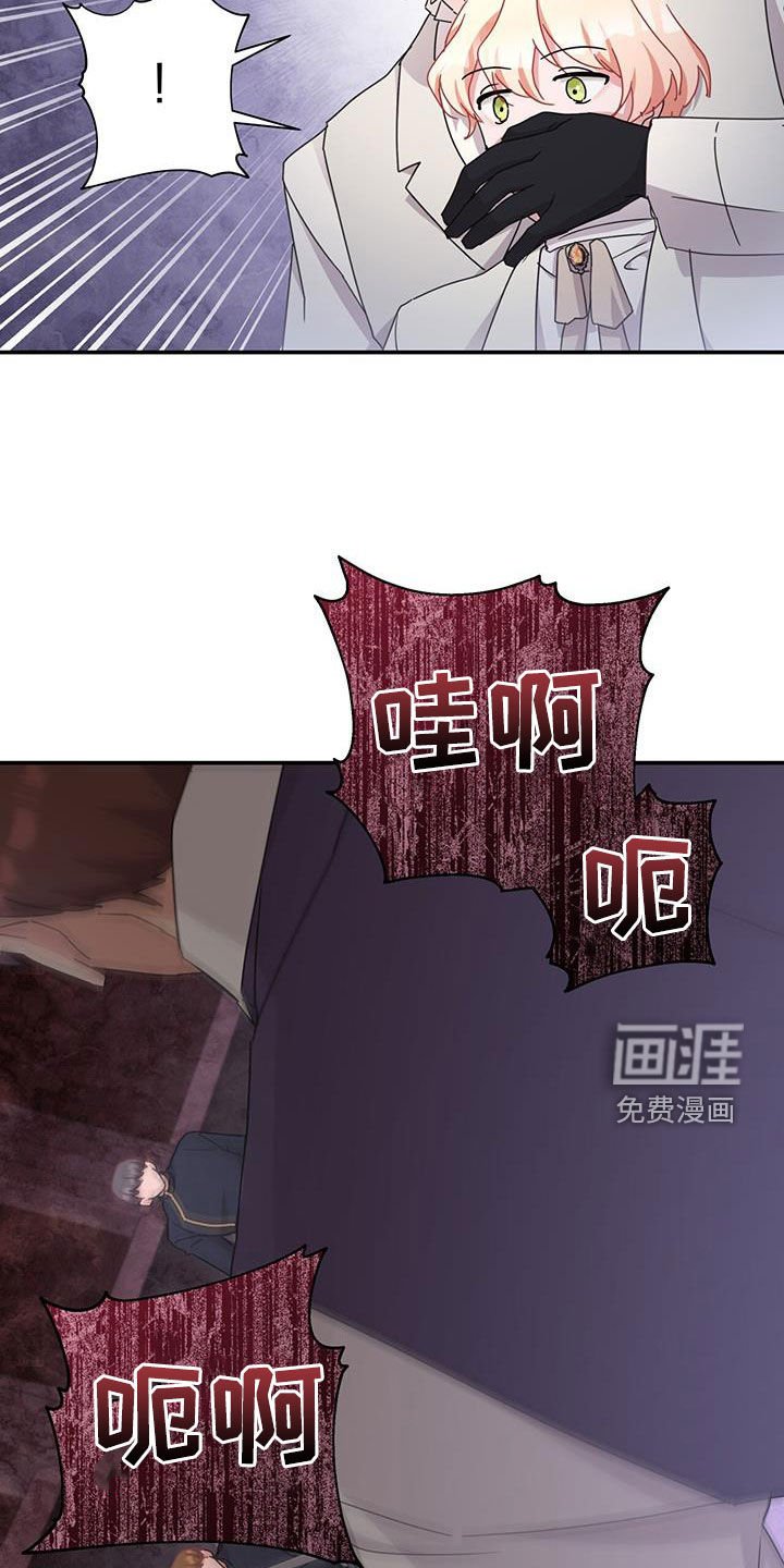 第33章：幕后黑手